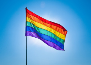 pride flag LGBT families